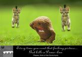 Every time you masturbate, God kills a kitten