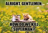 LOLcats