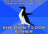 Socially Awkward Penguin