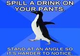 Socially Awkward Penguin