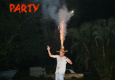 Party Hard