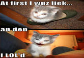 At First I Was Like...