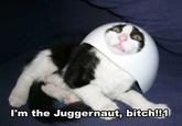 I'm The Juggernaut, Bitch!