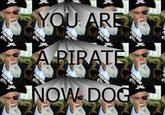 You Are A Pirate!