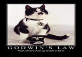 Godwin's Law
