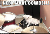 Needs More Cowbell