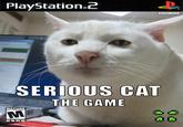 Serious Cat