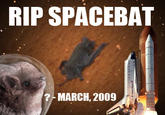SpaceBat