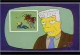 I, For One, Welcome Our New Insect Overlords