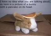 Pancake Bunny