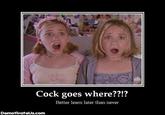 Cock Goes Where?
