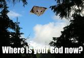 Ceiling Cat