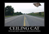 Ceiling Cat