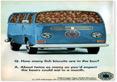 Fish Biscuit