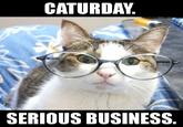 Caturday