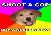 Advice Dog