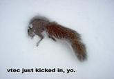 VTEC just kicked in, yo!