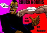 Chuck Norris Facts