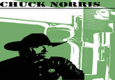Chuck Norris Facts