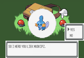 I Herd U Like Mudkips