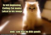 Ceiling Cat