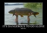 It's Dangerous to Go Alone! Take This