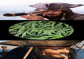 Jack Sparrow Reaction