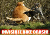 Invisible X