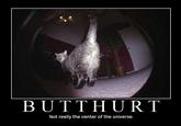 Butthurt