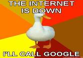 Technologically Impaired Duck
