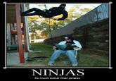 Pirates vs. Ninjas