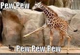 Pew Pew