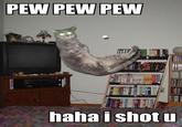 Pew Pew