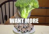 Broccoli Dog
