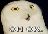 O RLY?