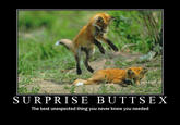 Surprise Buttsecks