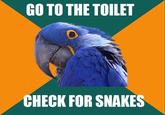 Paranoid Parrot