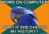 Paranoid Parrot