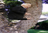 Zombie McCain