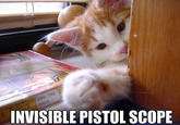 Invisible X