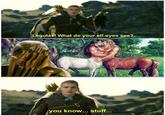 What do your elf eyes see?