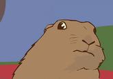 Dramatic Chipmunk / Drama Prairie Dog