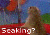 Dramatic Chipmunk / Drama Prairie Dog