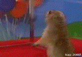 Dramatic Chipmunk / Drama Prairie Dog