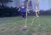 Diet Coke and Mentos