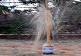 Diet Coke and Mentos
