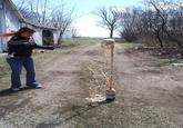 Diet Coke and Mentos