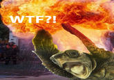 WTF BOOM!