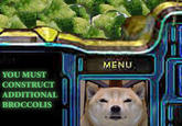 Broccoli Dog