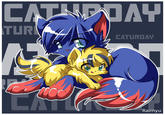 Caturday